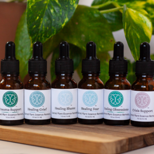 #K02 Healing Remedies Kit